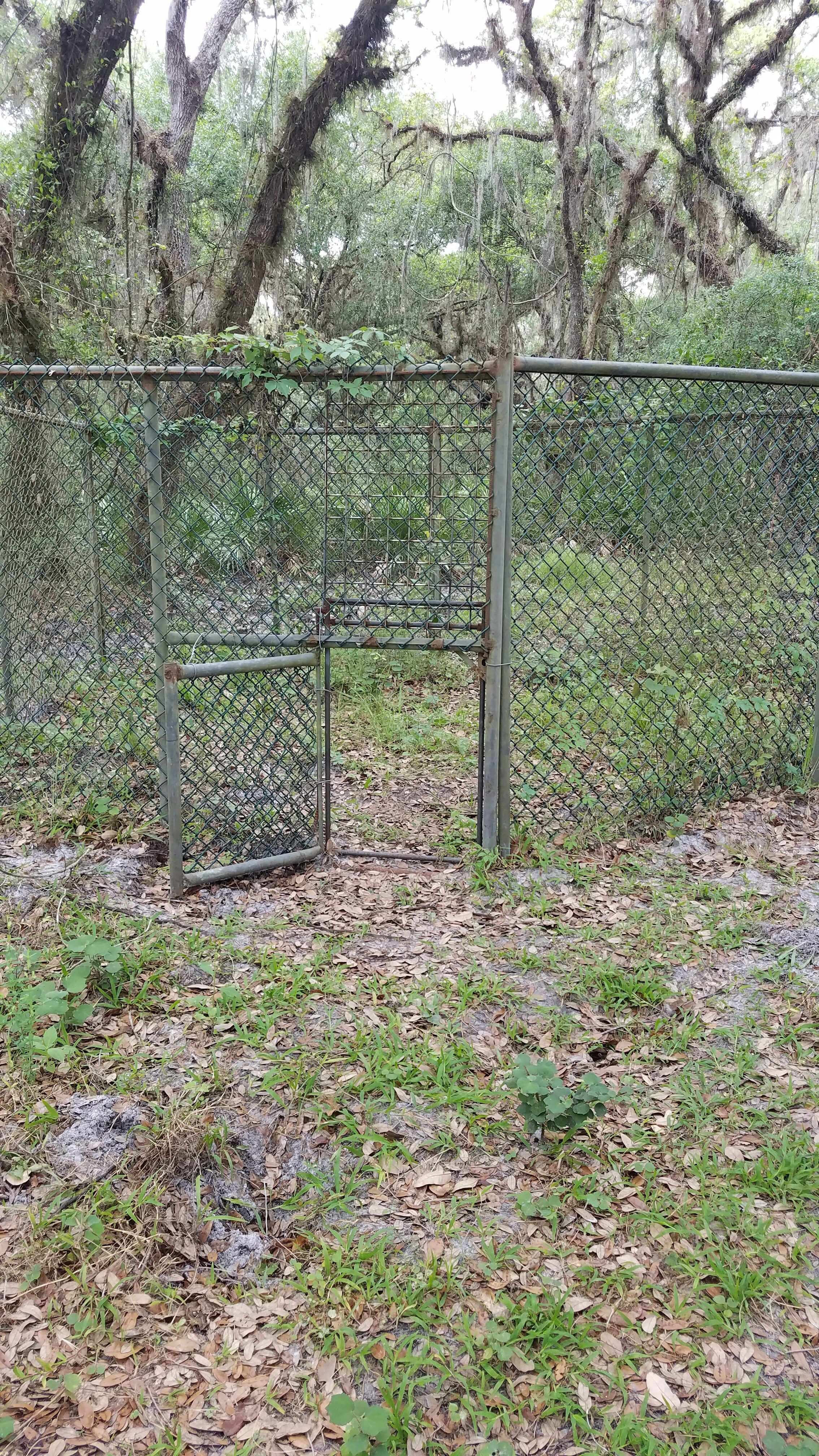 Hog Cage