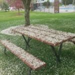 Cherry Blossoms blanket picnic table