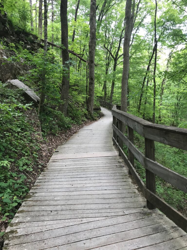 trail at Mammoth Cave