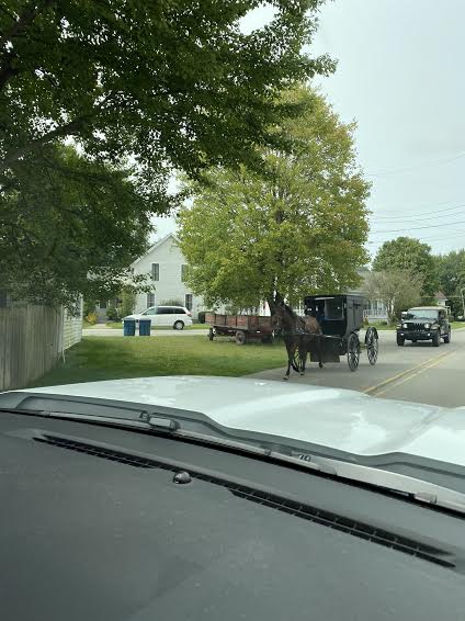 Elkhart Amish