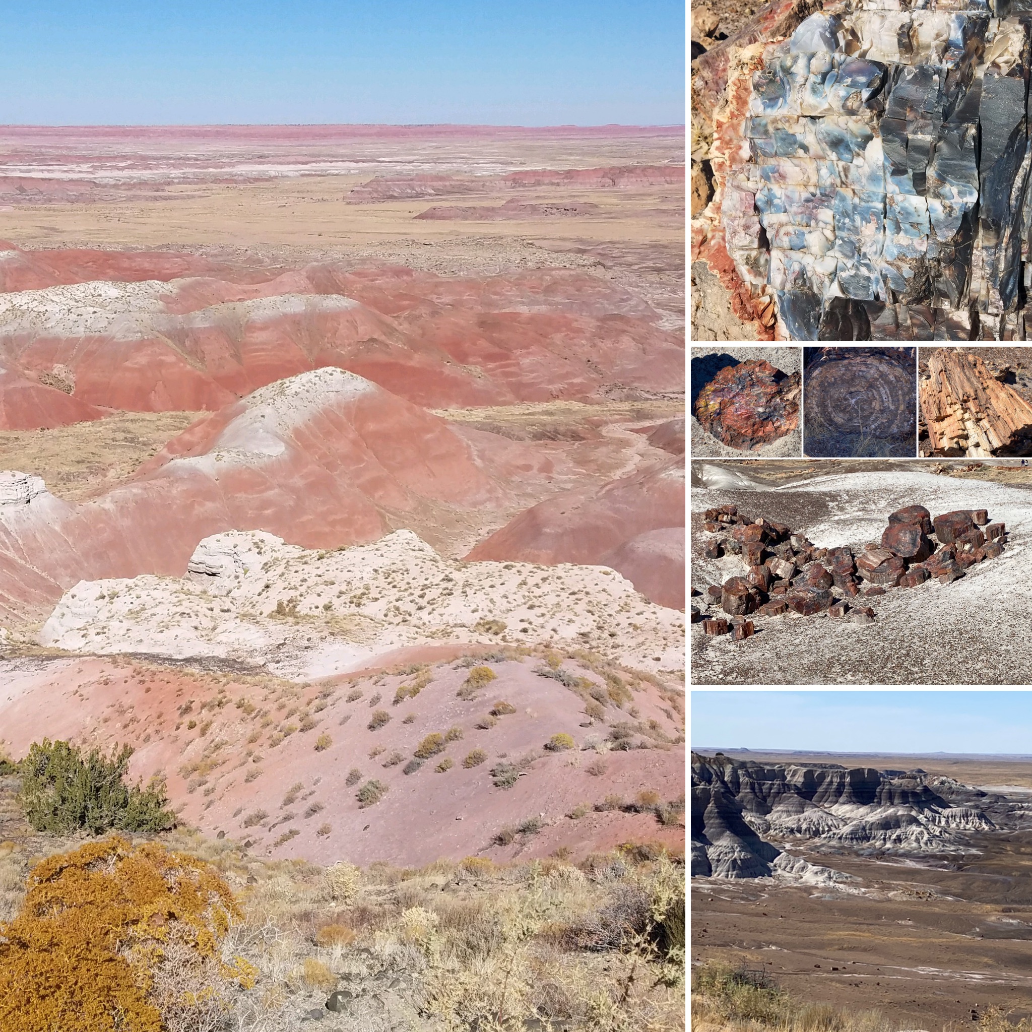 Painted Desert