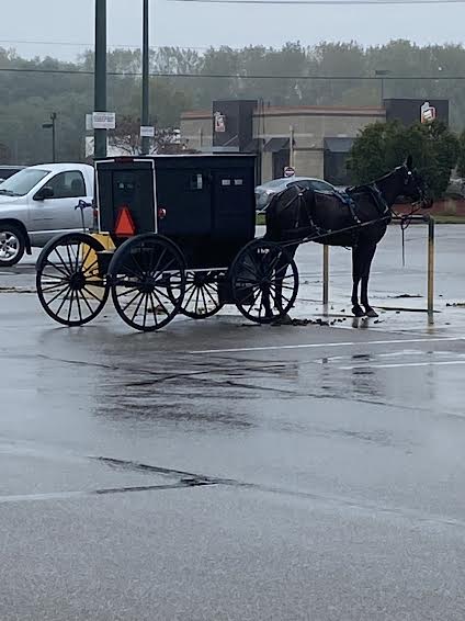 Amish Buggy