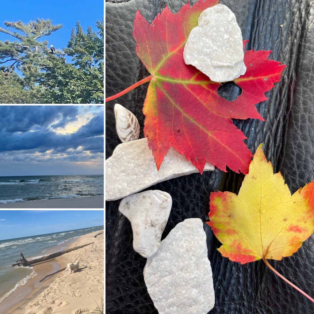 fall on lake